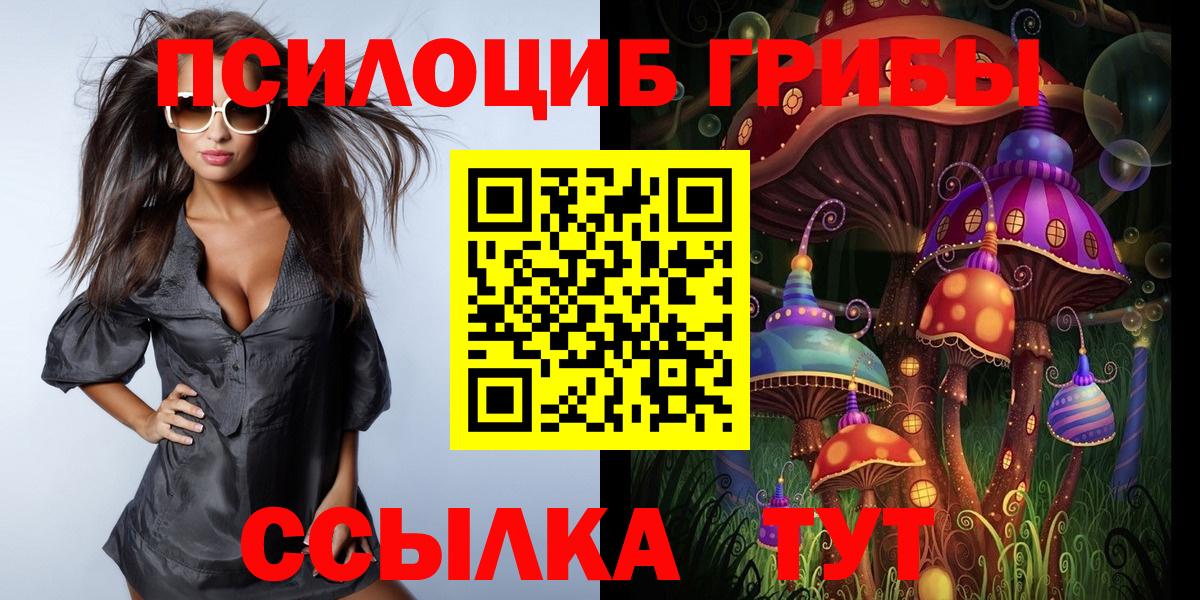 Псилоцибиновые грибы прущие грибы Новодвинск
